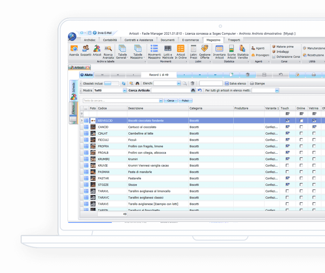 Gestionale di magazzino, fatturazione, contabilità, prima nota, contratti e assistenza, spedizioni, e-commerce